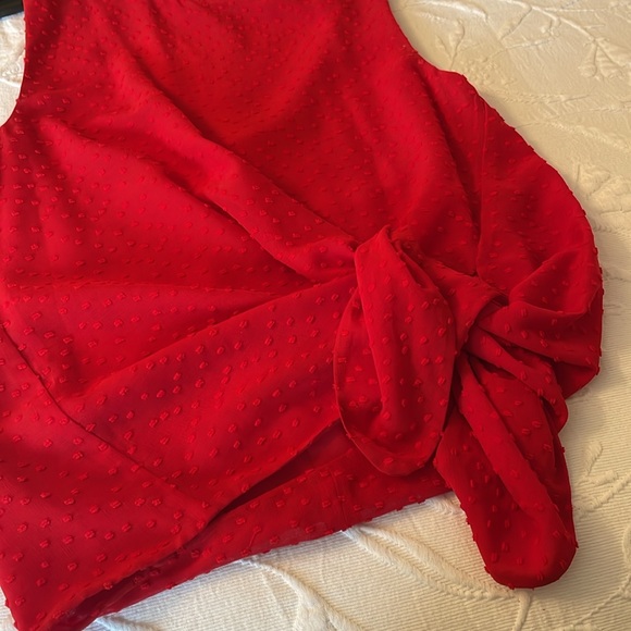 Babaton sleeveless blouse. Red. - Picture 3 of 5